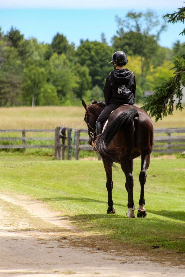Person riding a horse on a trail in a green field.