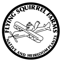 Flying Squirrel Farm