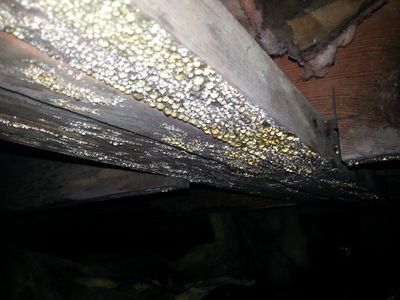 Crawlspace Moisture Problem and water intrusion - Jacksonville, North Carolina 