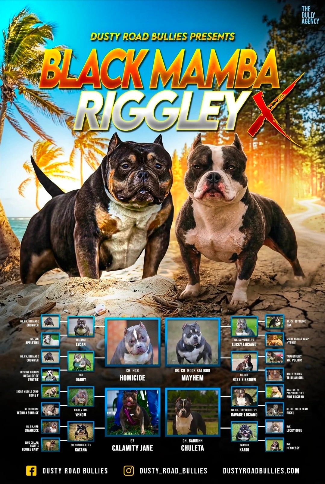 Poster featuring two muscular dogs named Black Mamba and Riggley X with their pedigree lineage.