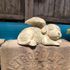 pet memorial stone