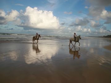  Experience the true Bahia on horseback.