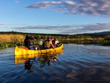 Canoe (Canadian) tour on the Marimbus swamp in Chapada Diamantina with the Brasilien Adventure team.









