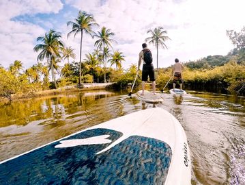 SUP: Relaxation meets adventure! Explore mangroves and coastline from a new perspective.