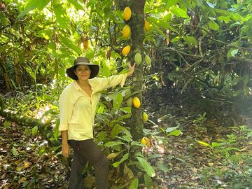 Visit a cocoa farm and learn about its production, followed by a tasting at the Cocoa Coast.