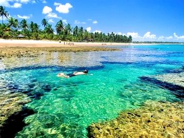 Snorkel in the natural pools of the Peninsula de Maraú, Taipu de Fora.
