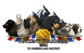 Asian Bears