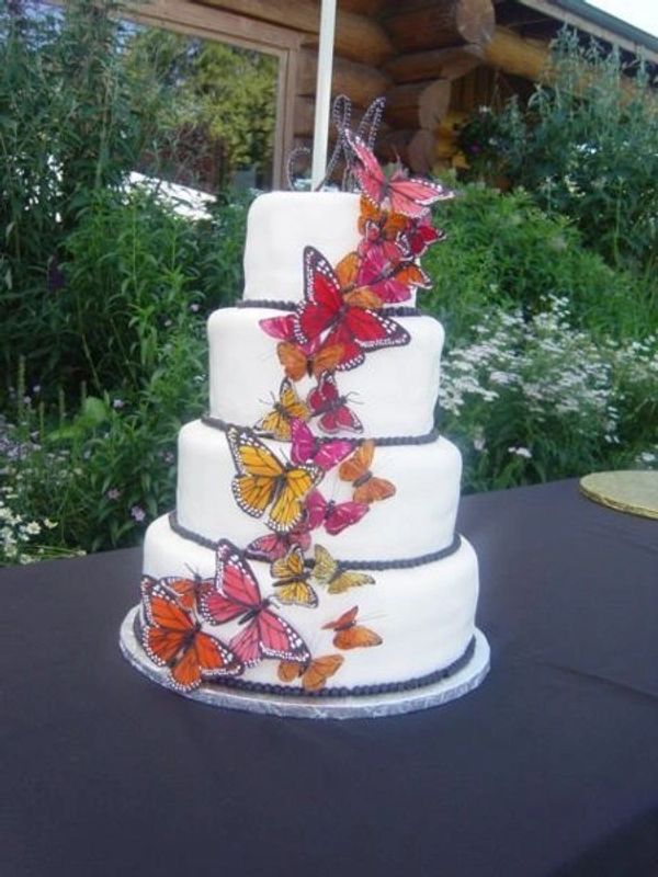 Butterfly cake made in our Brides colors