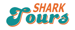Shark Tours Florida