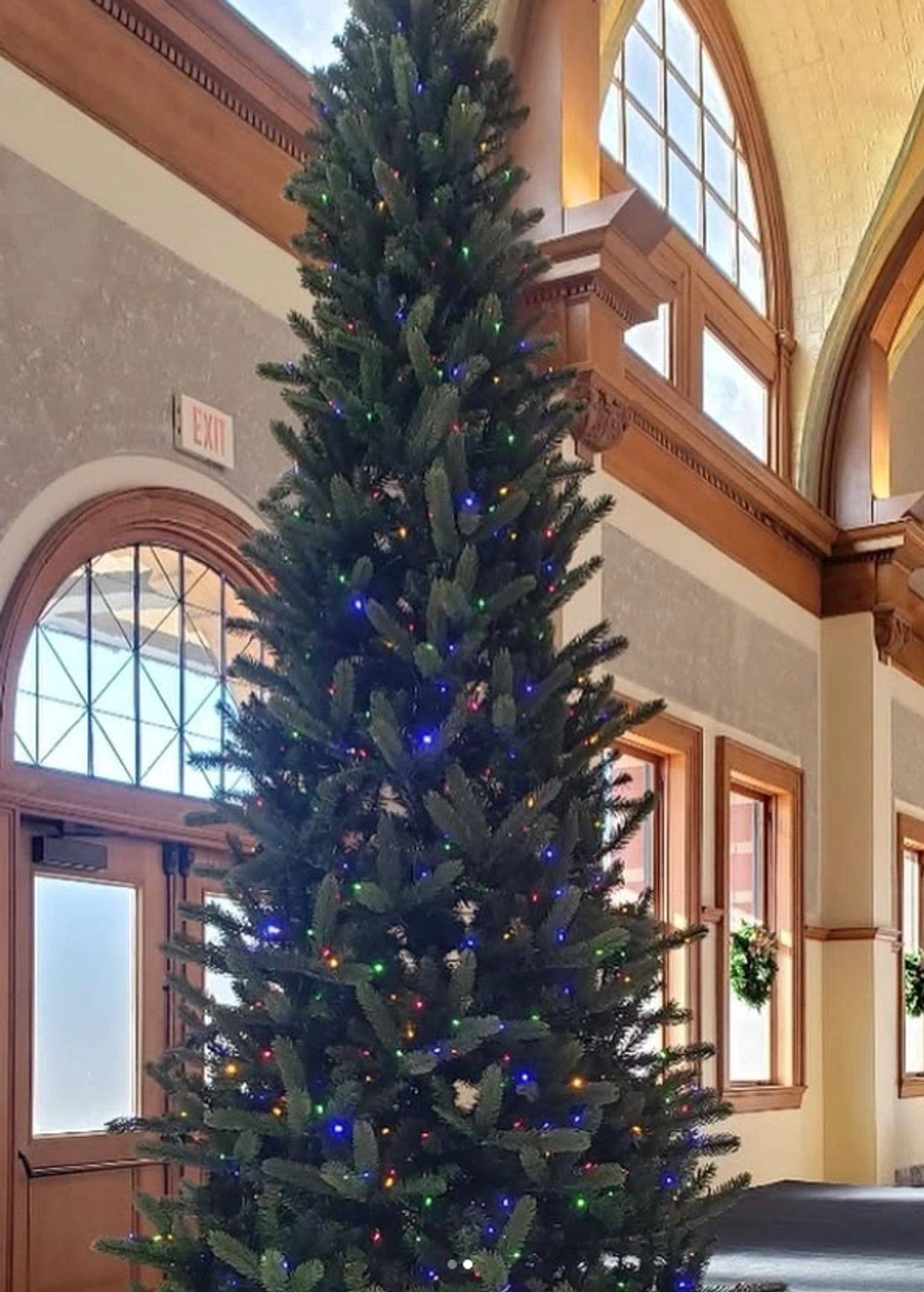 Christmas Tree Rentals In All The Dallas DFW Area.