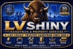 GENERAL RESIDENTIAL HANDYMAN LV Shiny Cleaning Services