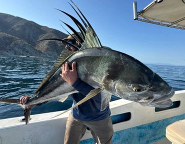 Person holding a large roosterfish on a boat with mountains in the background.