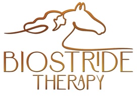 BioStride Therapy LLC