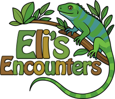Eli's Encounters