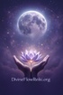 Divine Flow Reiki