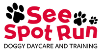 See Spot Run Doggie Daycare & Training Inc.