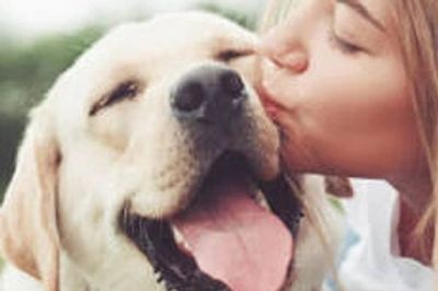 Woman lovingly kisses a happy golden retriever dog.