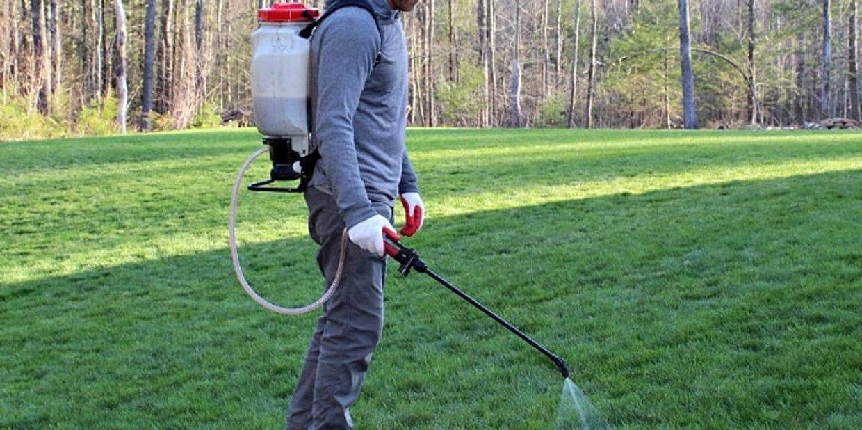weed spraying in progress
