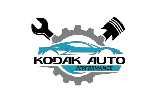 Kodak Auto Performance