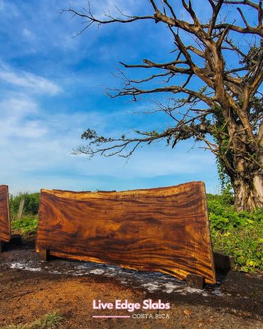 Ethically sourced Costa Rican slabs for live edge table production. Ideal for custom woodworkers and