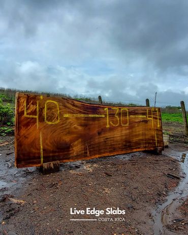 live edge slabs costa rica 