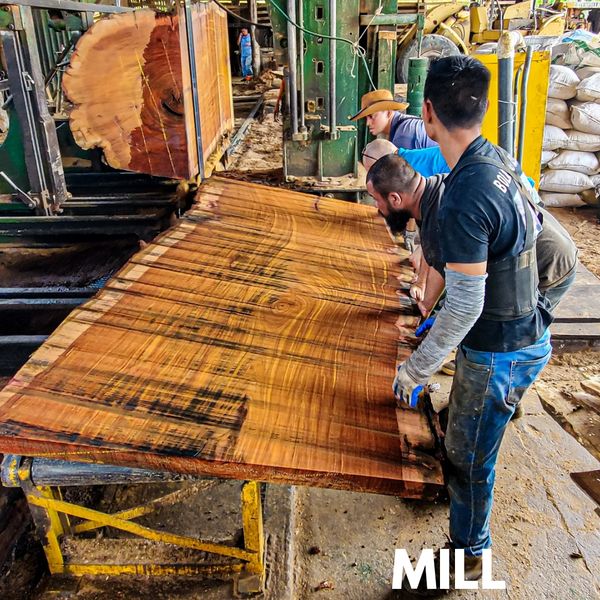 live edge slabs costa rica mill wood