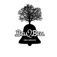 Bell 2 Bell Tree Service