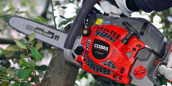 chainsaw servicing in Dorset