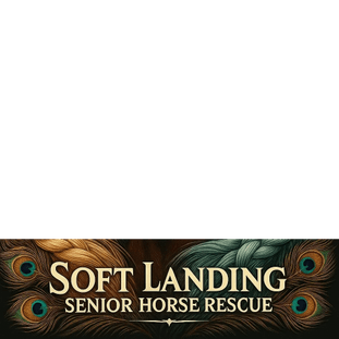 SOFT LANDING SENIOR HORSE RESCUE