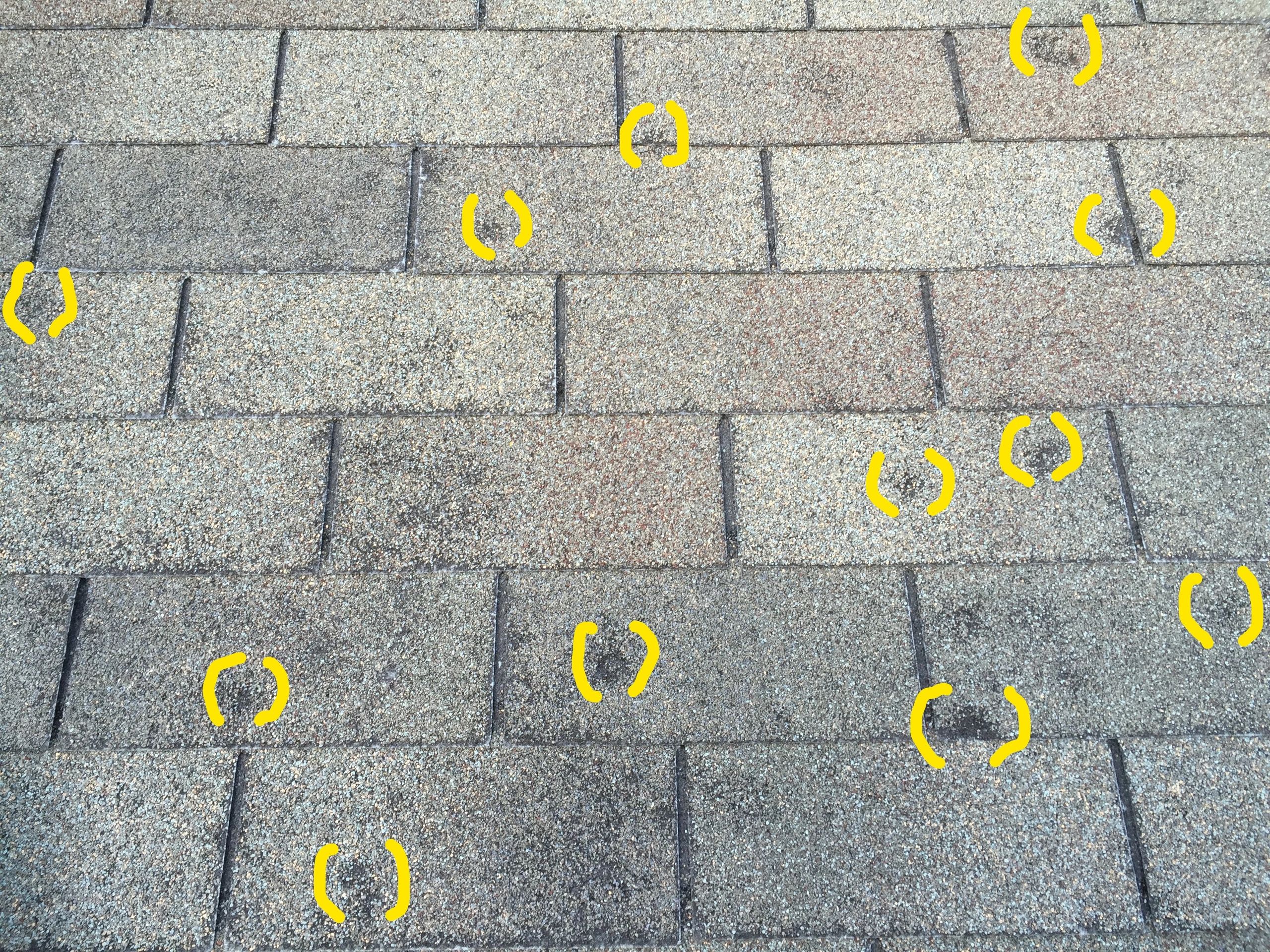 What does hail/wind damage on an asphalt shingle look like?