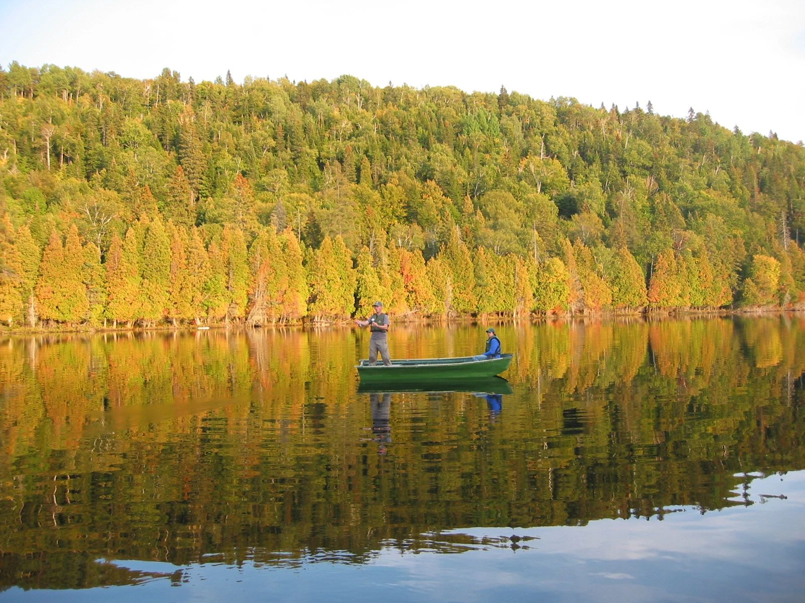 L'association Des Amis DE LA Forêt DU Lac Anais — photo 4