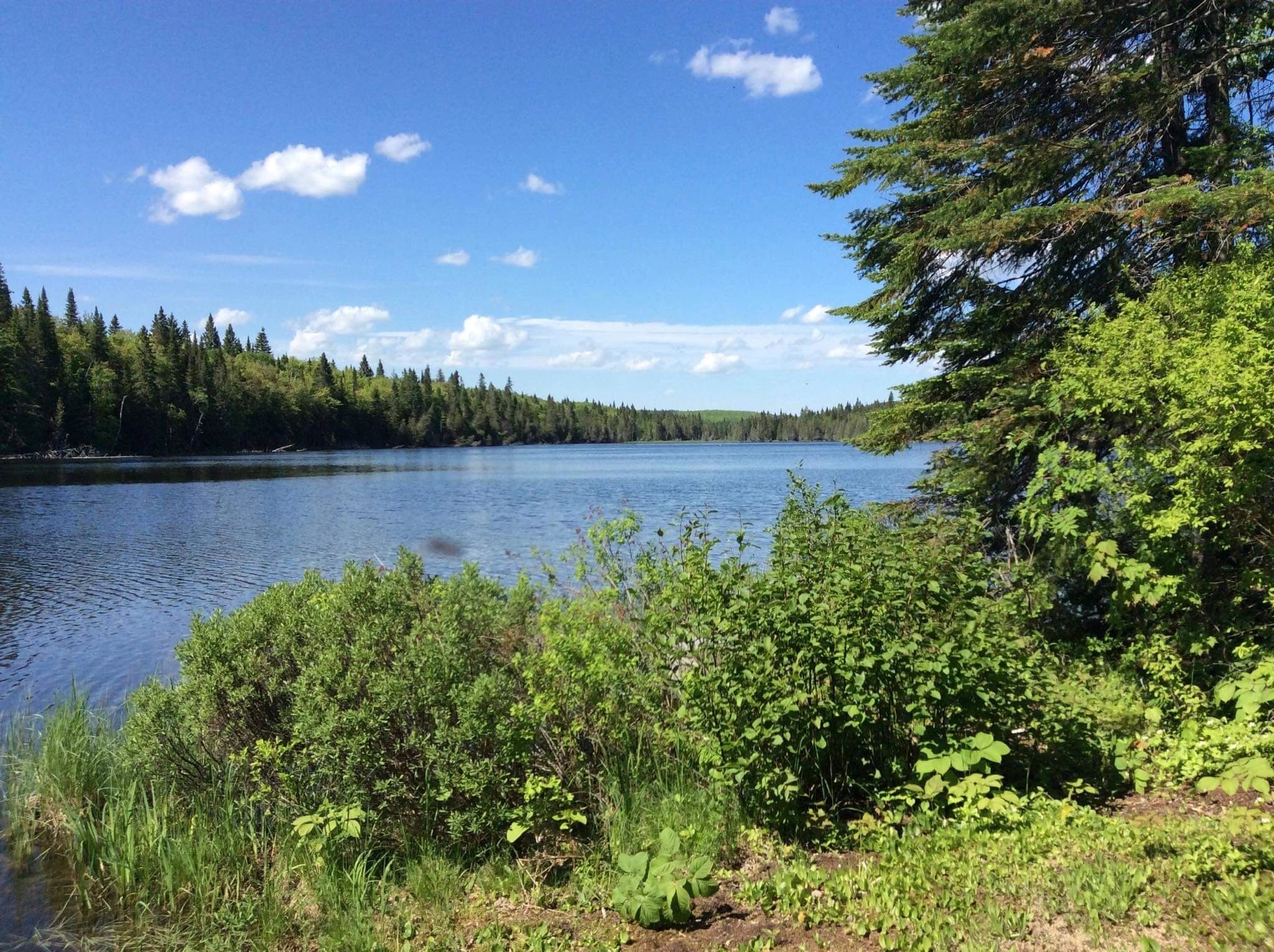 Photo — L'association Des Amis DE LA Forêt DU Lac Anais