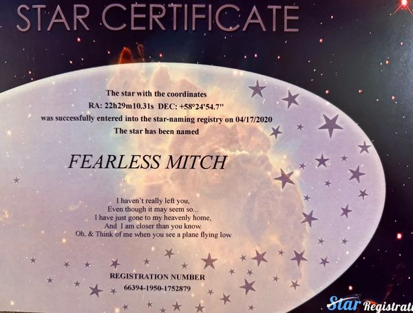 Star certificate naming a star 'Fearless Mitch'.