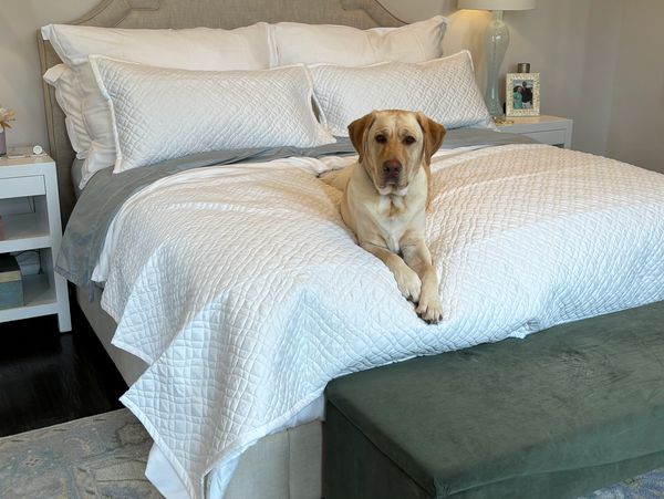 Love your pets? So do we. Our bedding is built to handle cuddles, paws, and all.