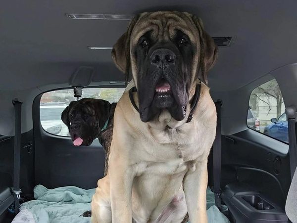 Tuck going for a ride