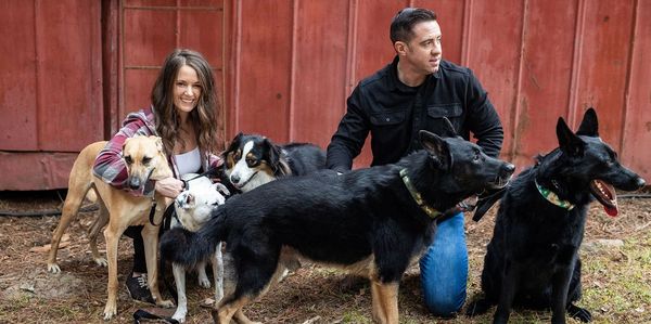 A couple with five dogs in an outdoor setting near a red wooden structure.