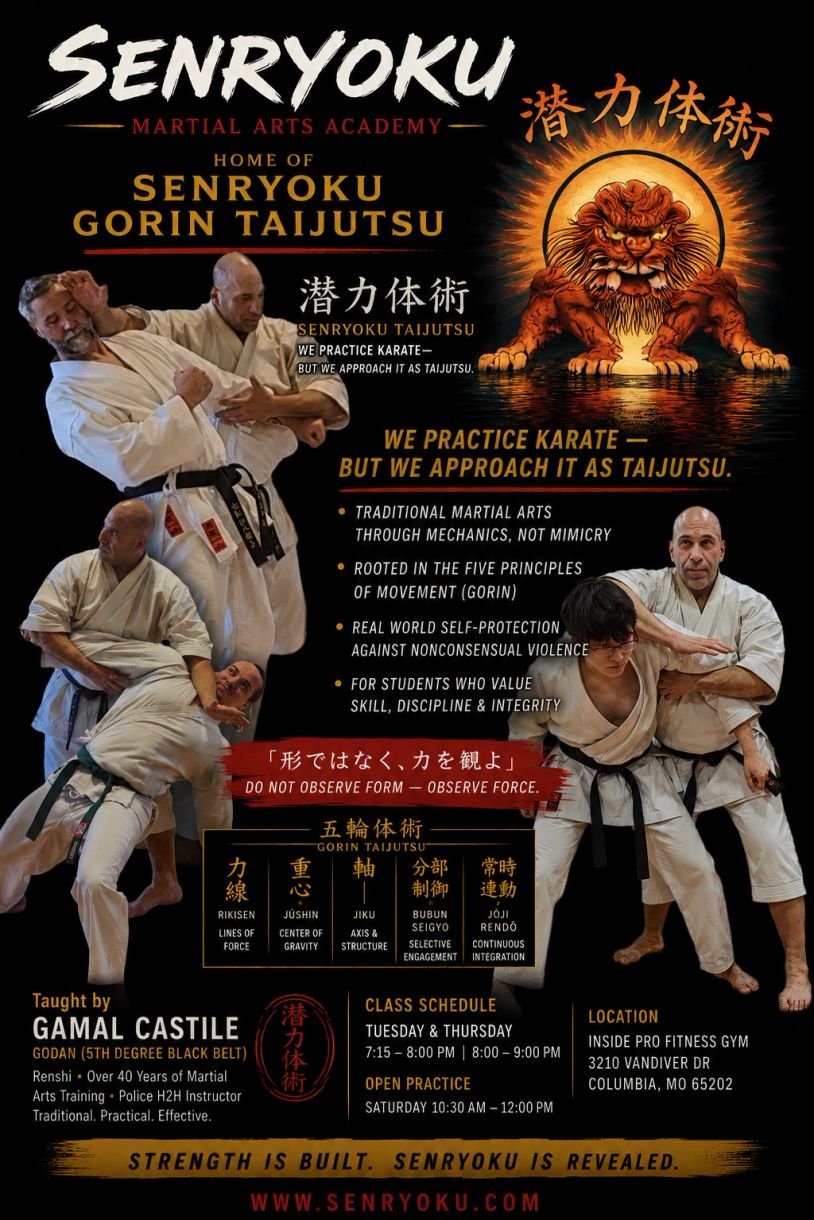 Martial arts poster for Senryoku Gorin Taijutsu with class info and instructor details.
