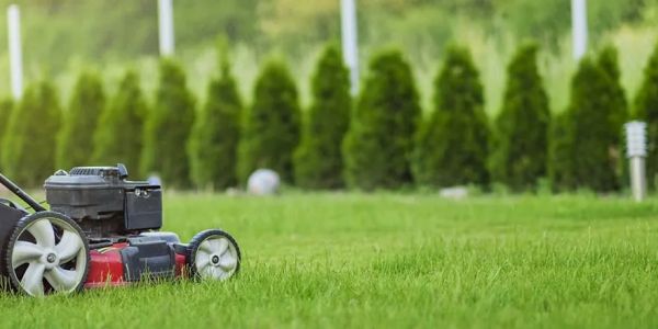 Lawn mower on green grass.