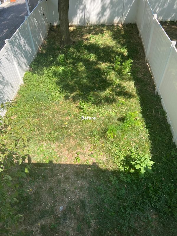 BEFORE