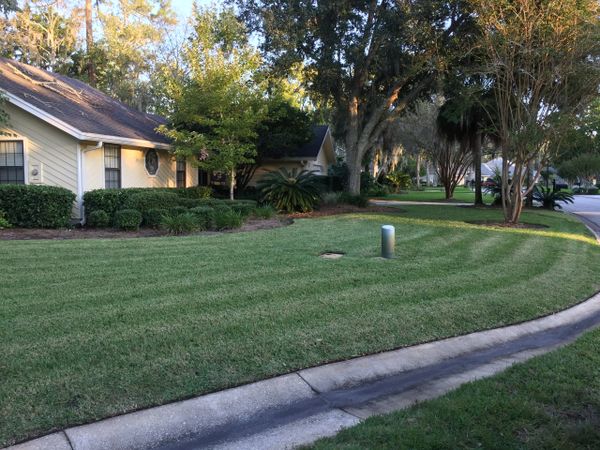 Landscaping Lawn Mowing Lawn Maintenance Jacksonville Beach