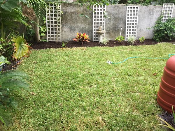 Landscaping Lawn Mowing Lawn Maintenance Jacksonville Beach