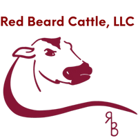 Red Beard Cattle Company