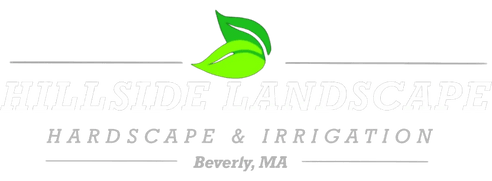 Hillside Landscape