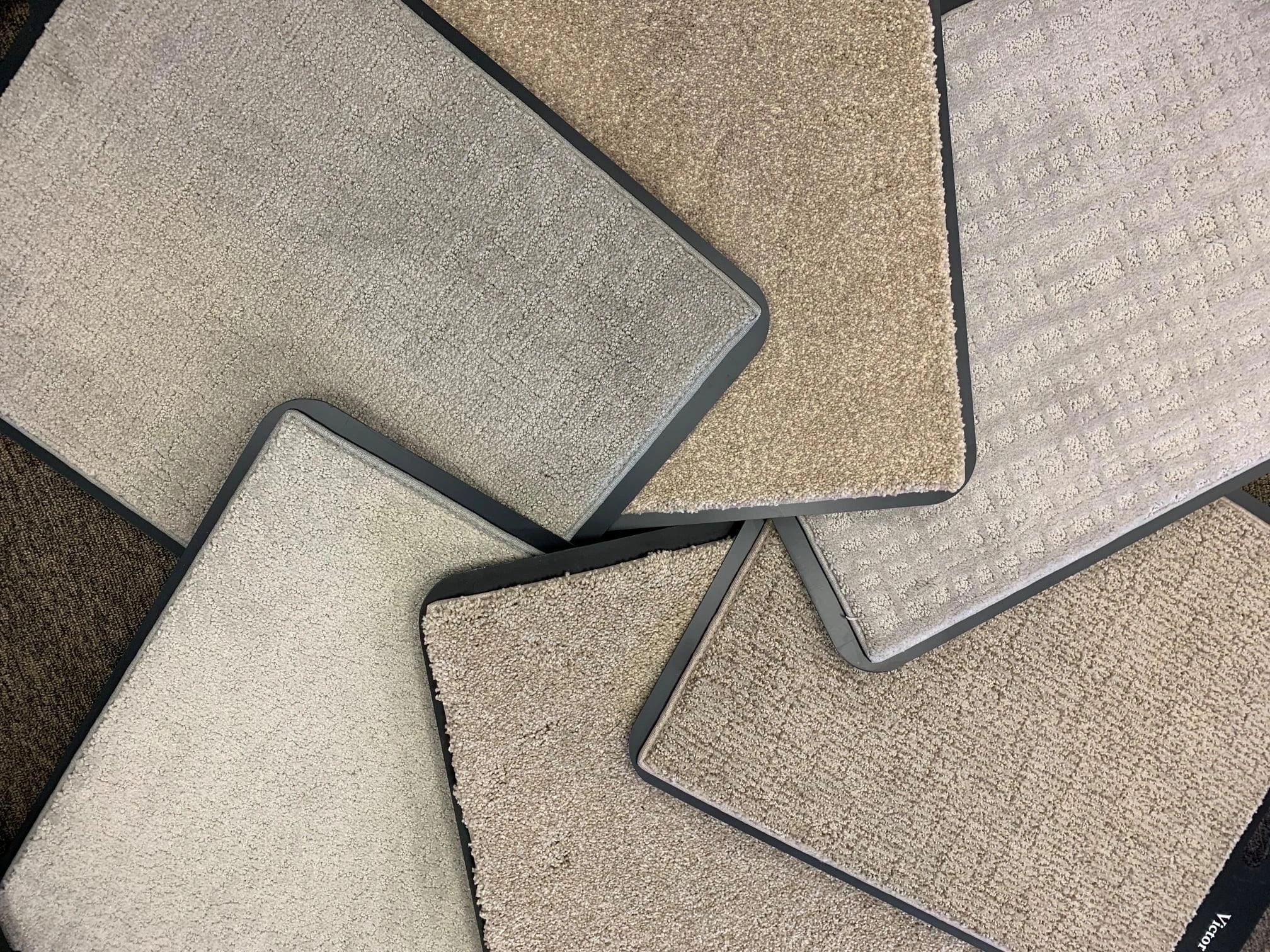 Carpet or Hard Surface with Allergies?