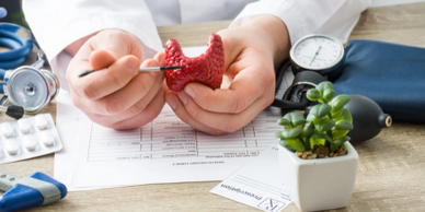 Doctor explaining thyroid gland with a model during consultation.