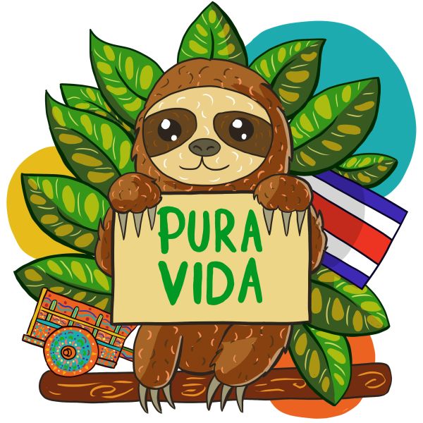 Costa Rica sloth