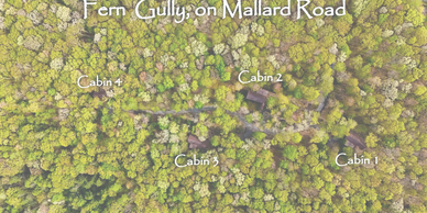 Aerial view of a forest area with labeled cabins.