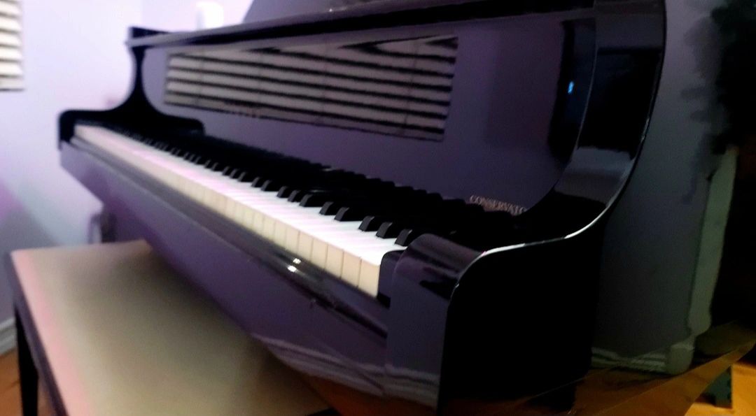 Piano classes and private piano lessons at ross school of music