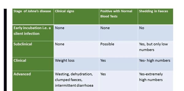 Table showing when certain tests become positive for Johne's disease 