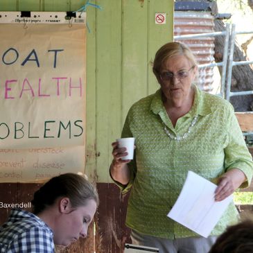 Dr Sandra Baxendell standing in front of a butchers paper chart labelled Goat heath Problems 